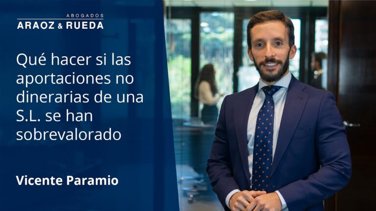 aportaciones no dinerarias sociedad limitada