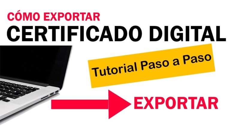 como copiar certificado digital a usb