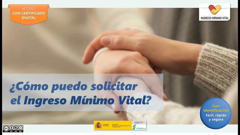 como pedir el minimo vital por internet