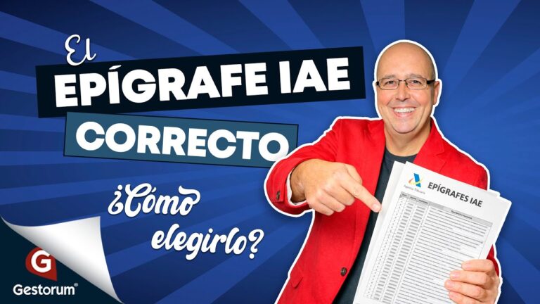 como saber el epigrafe iae de mi empresa