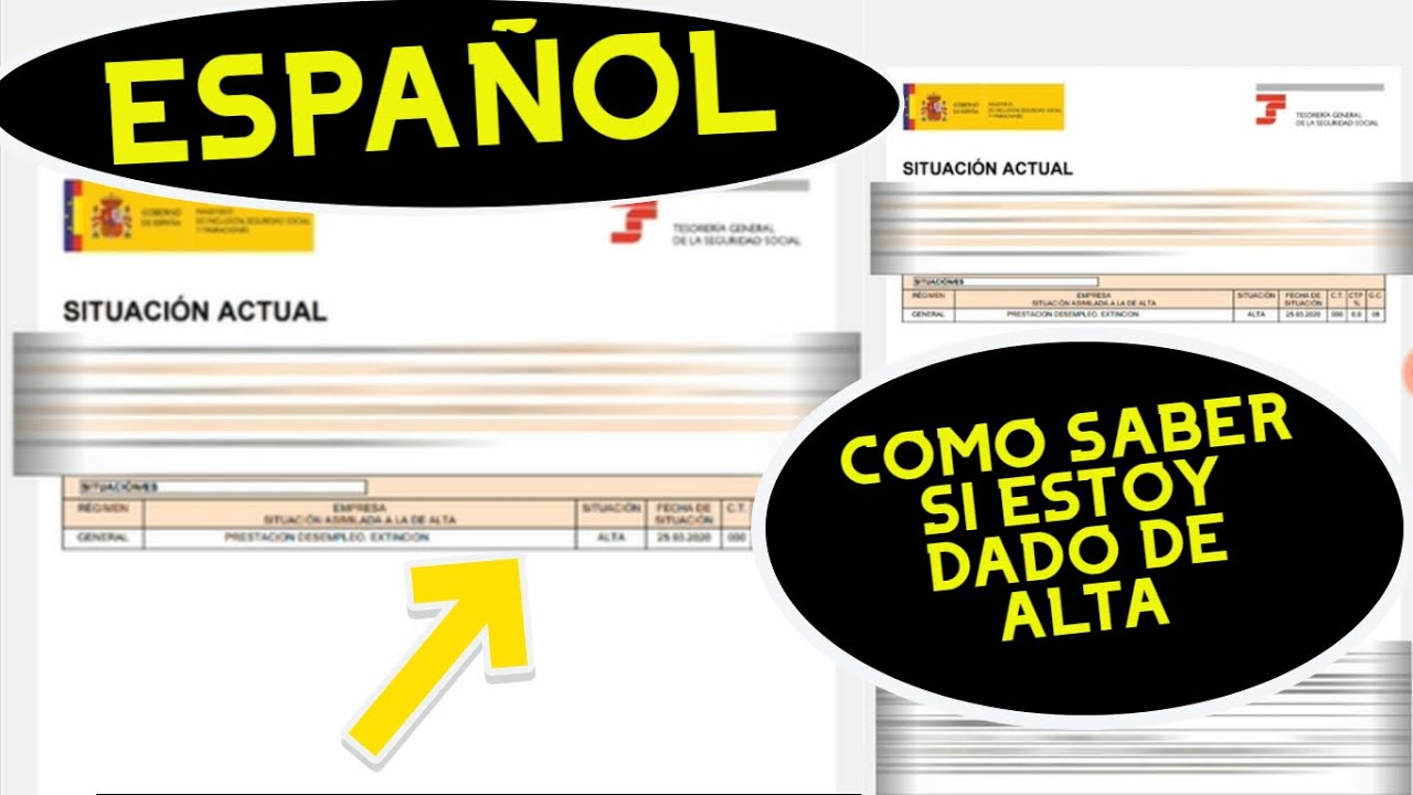 como saber si estoy dado de baja en una empresa