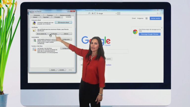 como ver las firmas digitales instaladas