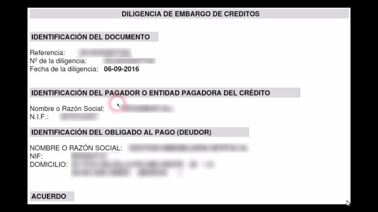consulta y tramitación de diligencias de embargo