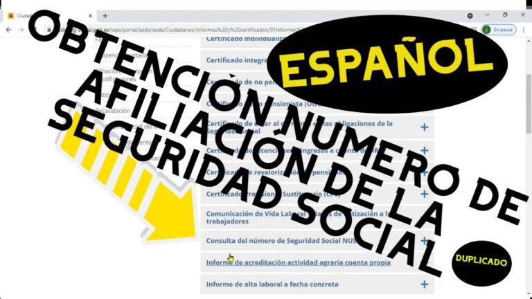ejemplo de numero de afiliacion a la seguridad social