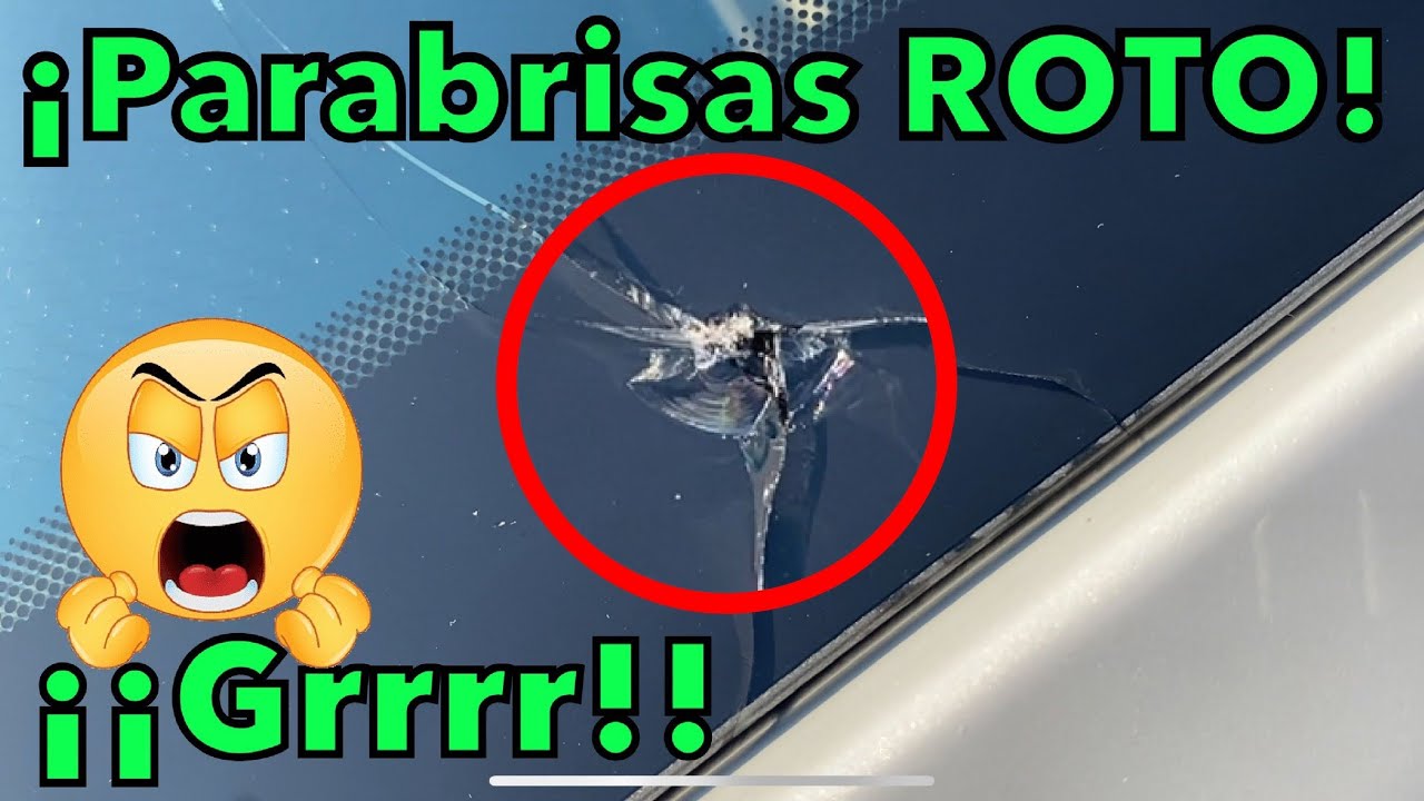 que hacer si te rompen la luna del coche