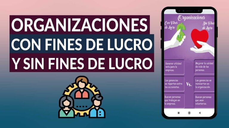 que quiere decir sin animo de lucro