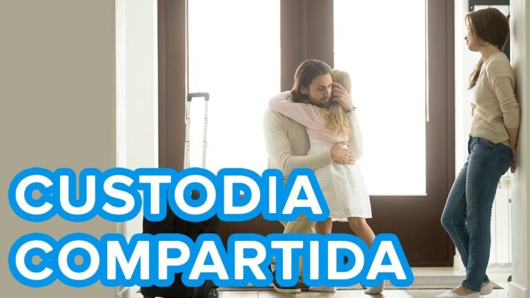 se puede ser familia numerosa con custodia compartida