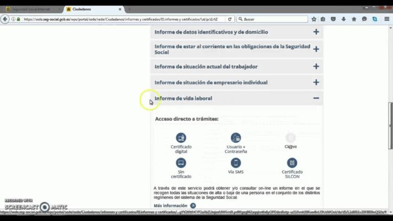 sede electronica de la seguridad social informe de vida laboral