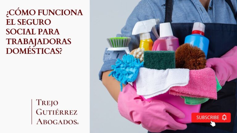 seguro de ama de casa seguridad social